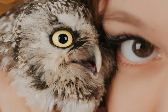 Efbet Casino Поддръжка